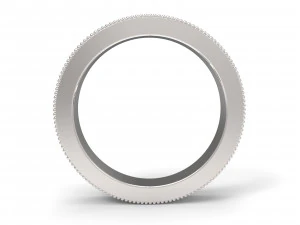 ornaments rings version 3D Print Model