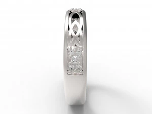 ornaments rings version 3D Print Model