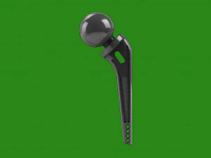 prosthetic hip joint 3d print model 3D Print Model