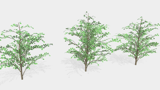 hazels 3D Model .c4d .max .obj .3ds .fbx .stl .blend 