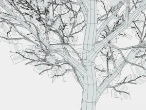 oaks 3D Model