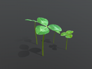 clovers 3D Model