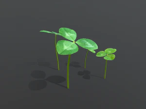 clovers 3D Model