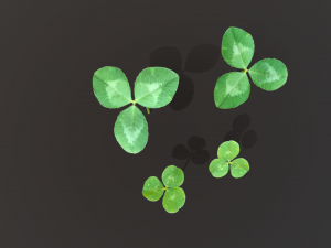 clovers 3D Model