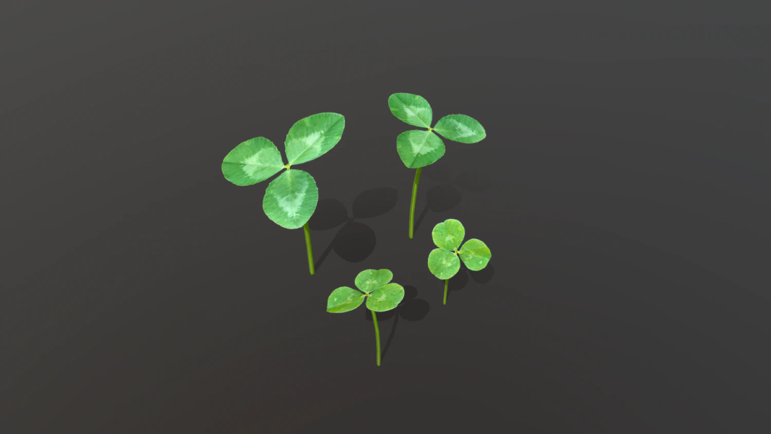clovers 3D Model .c4d .max .obj .3ds .fbx .stl .blend 