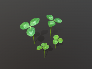 clovers 3Dモデル
