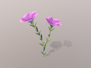 linum viscosum Modello 3D