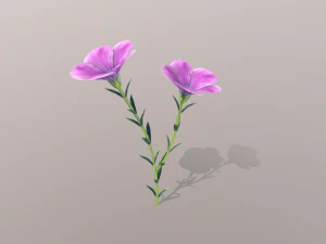 Linum viscosum 3D Modell