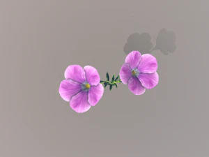 linum viscosum 3D Model