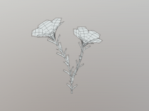 linum viscosum Model 3D