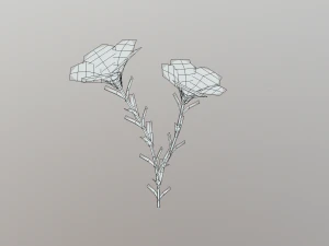 linum viscosum 3D Model