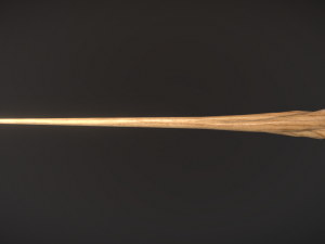 wood wand Modèle 3D