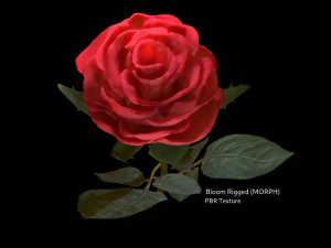 खिले हुए रिग के साथ यथार्थवादी 3डी गुलाब का फूल 3D मॉडल