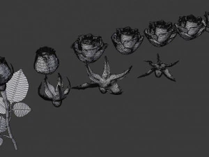 realistic 3d rose flower with blooming rig 3D Model