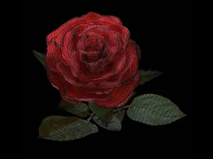 realistic 3d rose flower with blooming rig 3D Model