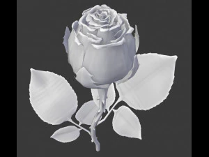 realistic 3d rose flower with blooming rig 3D Model