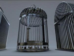 Bird cage Collection 3D Model