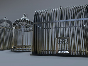 Bird cage Collection Model 3D