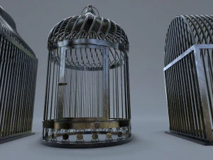 Bird cage Collection 3D Model