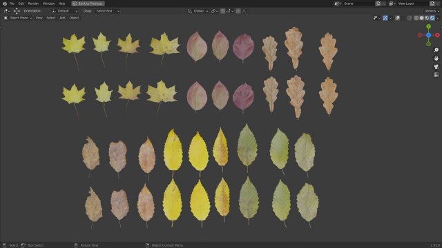 Fall Autumn Leaf Pack 3D Model .c4d .max .obj .3ds .fbx .stl .blend 