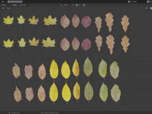 Пакет осенних листьев 3D Модель