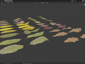 Fall Autumn Leaf Pack 3D Model