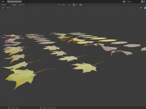Fall Autumn Leaf Pack 3D Model
