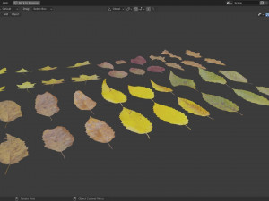 Fall Autumn Leaf Pack 3D Model
