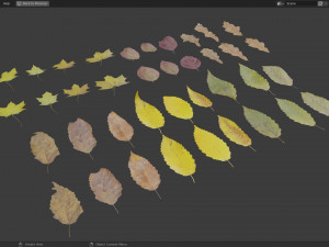 Fall Autumn Leaf Pack 3D Model
