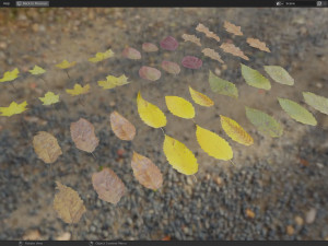Fall Autumn Leaf Pack 3D Model