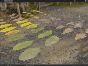Fall Autumn Leaf Pack 3D Model