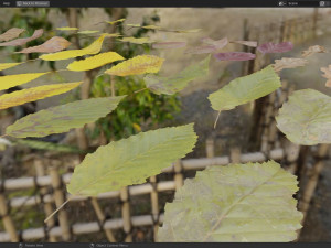 Fall Autumn Leaf Pack 3D Model