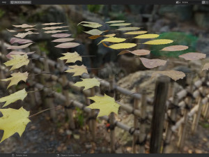Fall Autumn Leaf Pack 3D Model