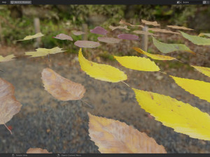 Fall Autumn Leaf Pack 3D Model