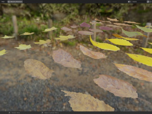 Fall Autumn Leaf Pack 3D Model