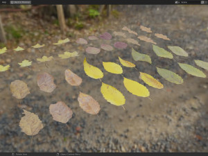 Fall Autumn Leaf Pack 3D Model