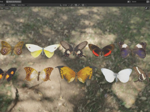 Butterfly Collection PBR Rigged Animated 3D Model