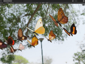 Butterfly Collection PBR Rigged Animated 3D Model