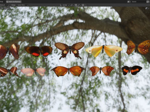 Butterfly Collection PBR Rigged Animated 3D Model