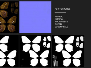 Butterfly Collection PBR Rigged Animated 3D Model