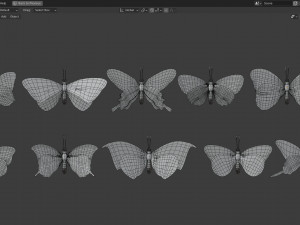 Butterfly Collection PBR Rigged Animated 3D Model