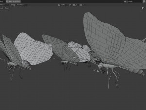 Butterfly Collection PBR Rigged Animated 3D Model
