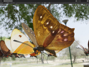 Butterfly Collection PBR Rigged Animated 3D Model