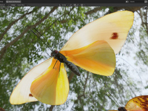 Butterfly Collection PBR Rigged Animated 3D Model
