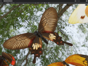 Butterfly Collection PBR Rigged Animated 3D Model