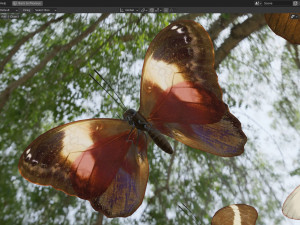 Butterfly Collection PBR Rigged Animated 3D Model
