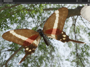 Butterfly Collection PBR Rigged Animated 3D Model