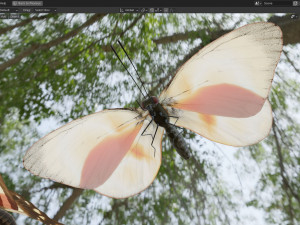Butterfly Collection PBR Rigged Animated 3D Model