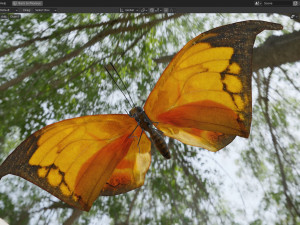 Butterfly Collection PBR Rigged Animated 3D Model