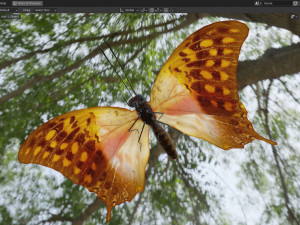 Butterfly Collection PBR Rigged Animated 3D Model